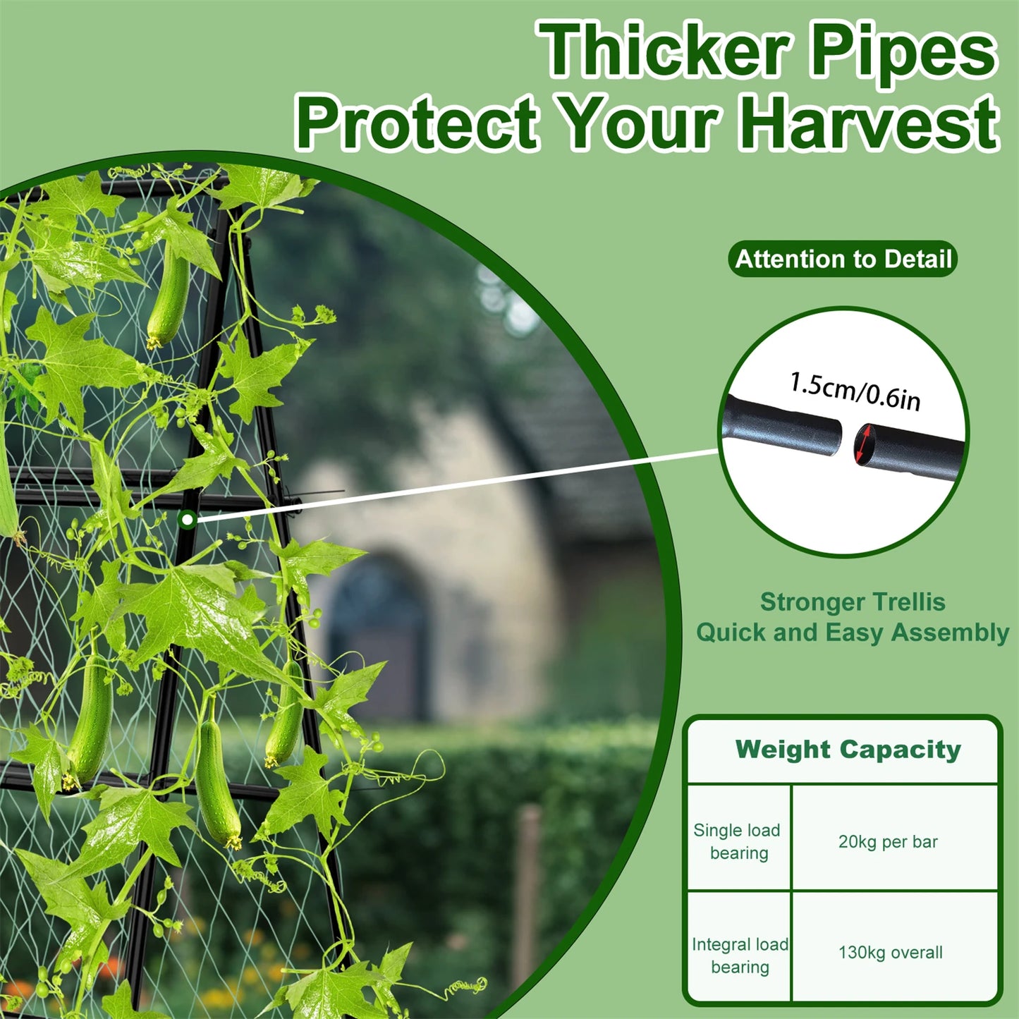 A Shaped Garden Trellis With Nylon Netting For Climbing Plants