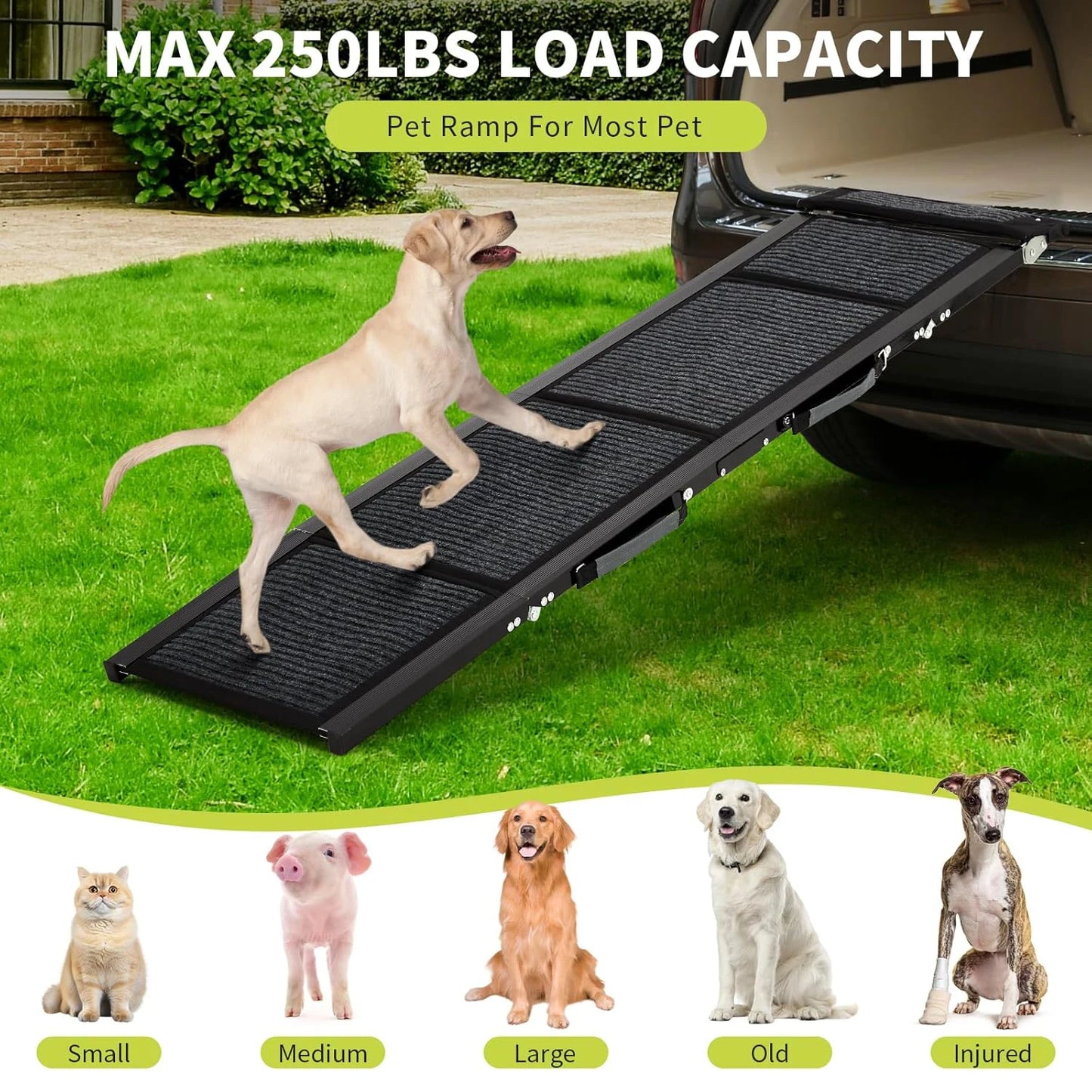 HiMiss Folding Dog Ramp For Large Dogs Non Slip Portable